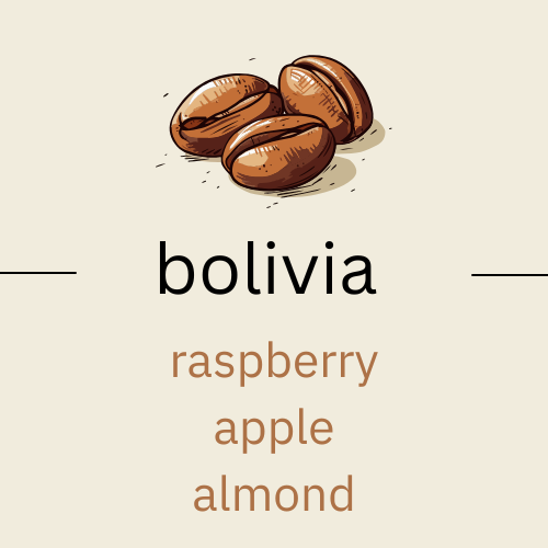 The Profound Adventure - Bolivia Yulissa Chambi (very light roast)