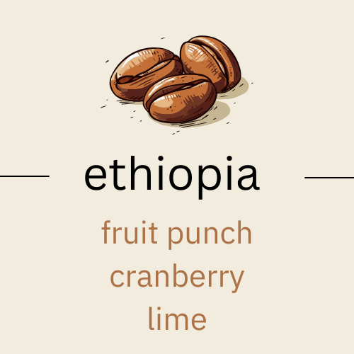 The Profound Adventure - Ethiopia Nguisse Nare Bombe (very light roast)