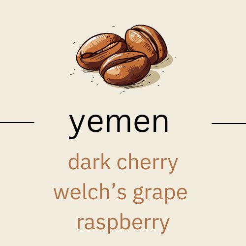 The Profound Adventure - Yemen Sharqui Haraaz (very light roast)