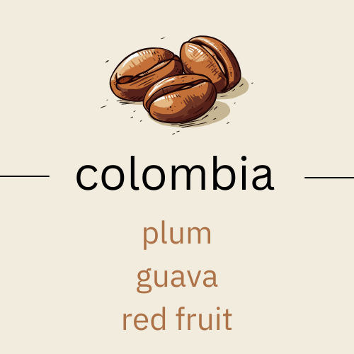 The Routine Comfort - Serene Guava Banana (very light roast)