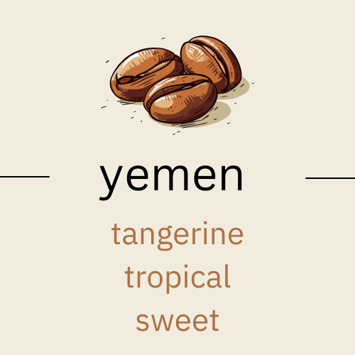 The Profound Adventure - Yemen Haraaz (very light roast)
